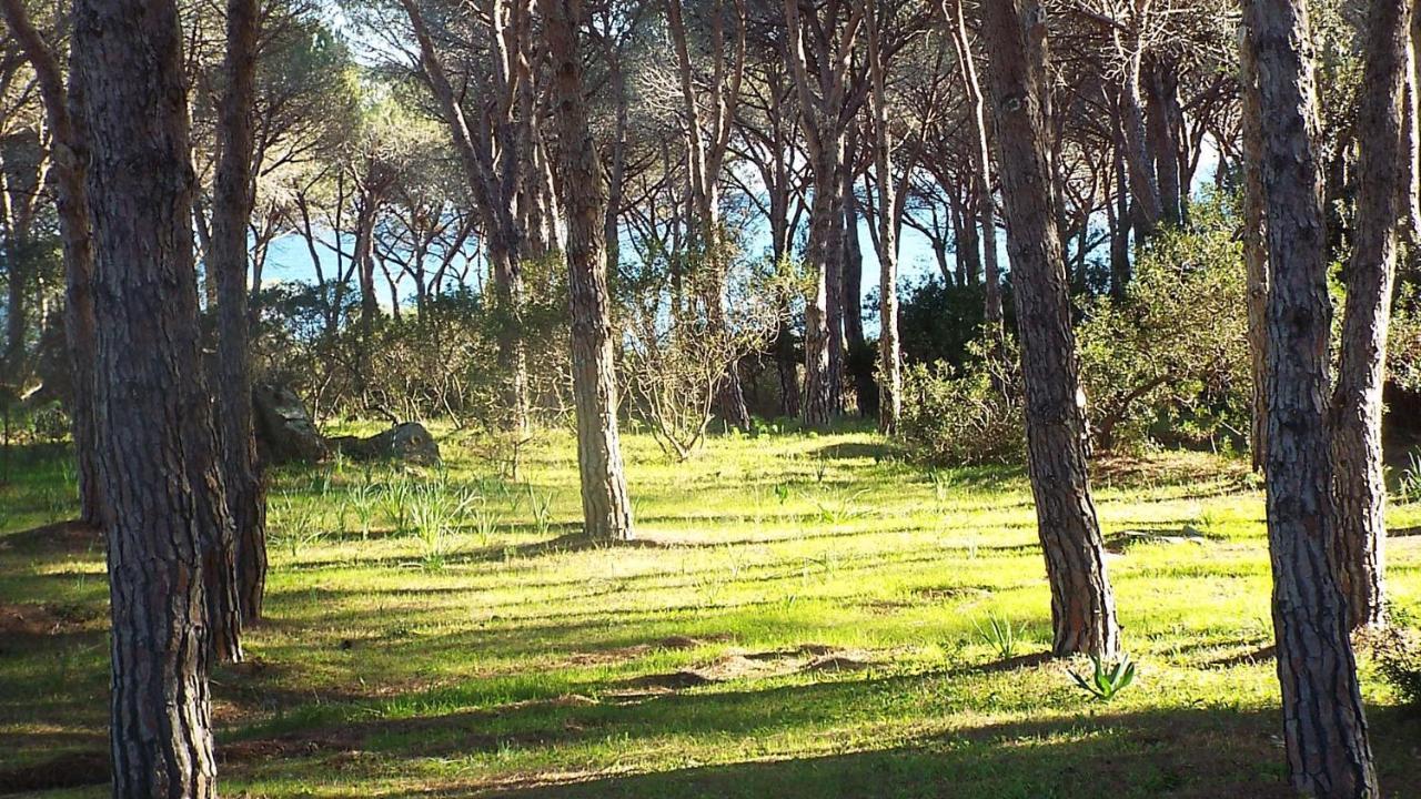 Villetta Con Giardino A Budoni Exteriér fotografie