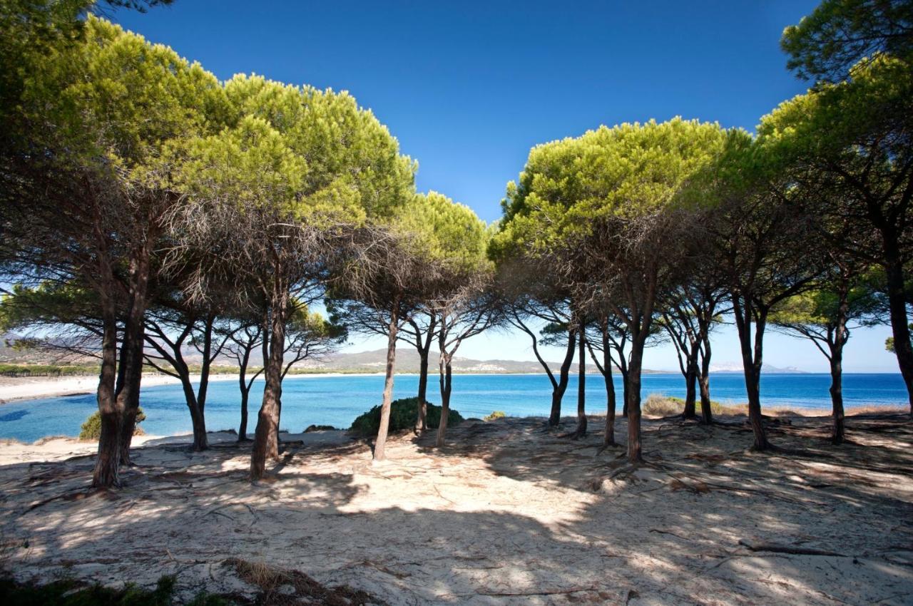 Villetta Con Giardino A Budoni Exteriér fotografie